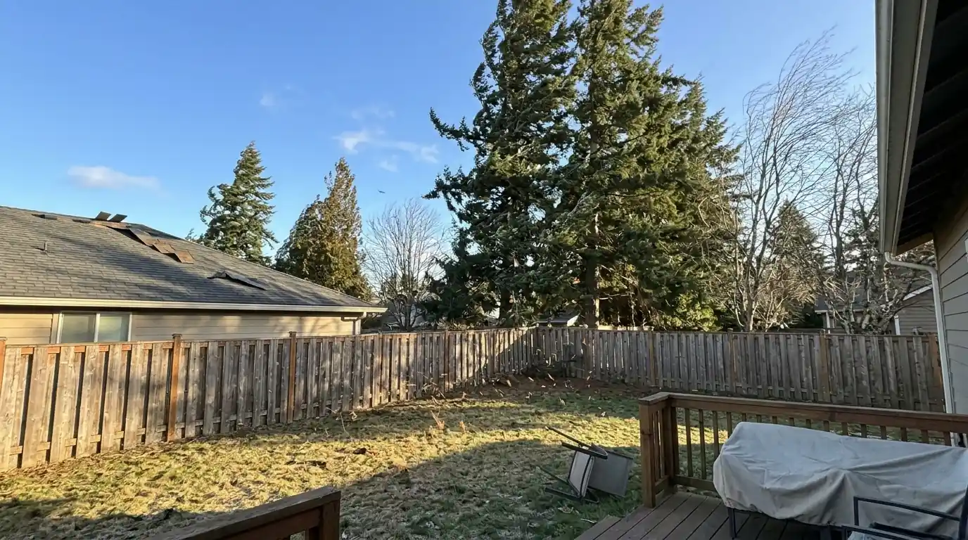 Firs bending in a strong east wind behind a home with lifted shingle tabs